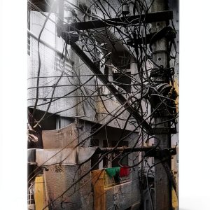 Columbia University Press Kindle Book 978-0231556873-0